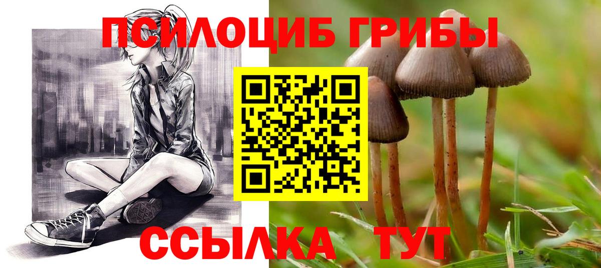 Лесозаводск  Галлюциногенные грибы Cubensis  Вход с VPN 