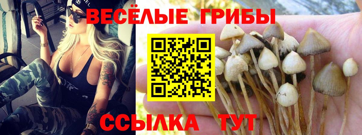 Галлюциногенные грибы мицелий Лесозаводск